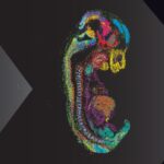 from-single-cell-to-spatial-multiomics:-expanding-biological-context-in-genomic-research