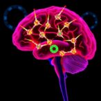 single-cell-insights-reveal-immune-changes-in-nsclc-brain-metastases