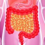 gut-bacteria-trigger-protective-mechanism-in-colon-tissue