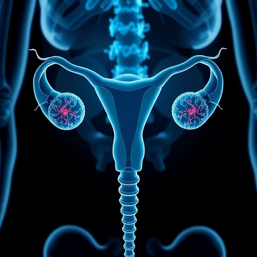 new-tamoxifen-pathway-preserves-ovaries-in-chemotherapy