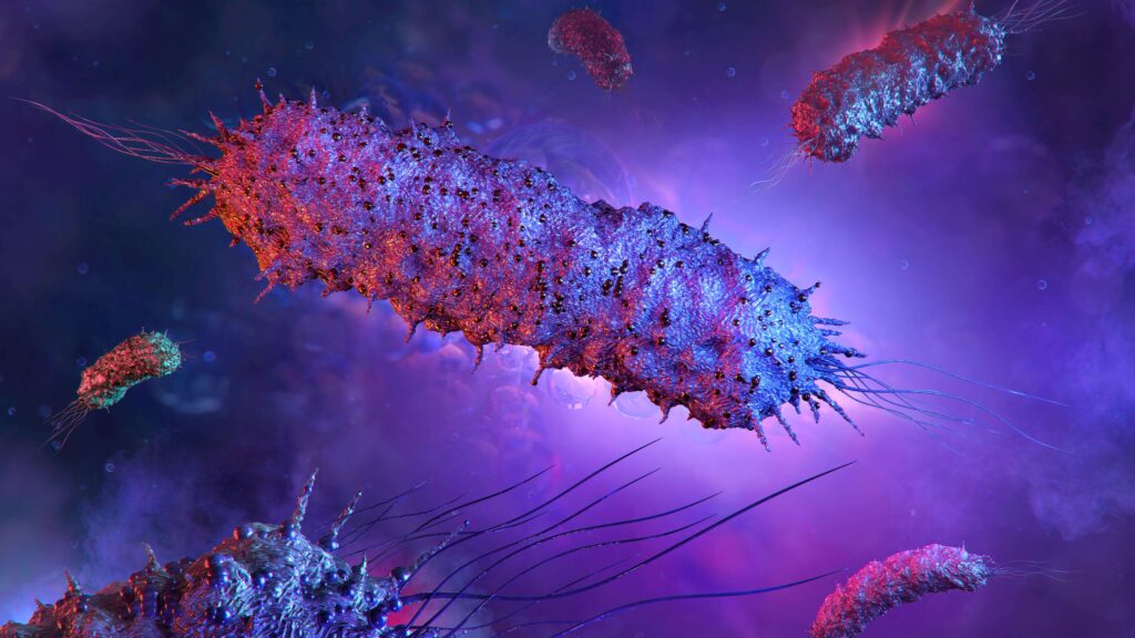 salspera-plans-$91m-ipo-to-fund-phase-3-studies-of-salmonella-based-cancer-therapy