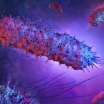 salspera-plans-$91m-ipo-to-fund-phase-3-studies-of-salmonella-based-cancer-therapy