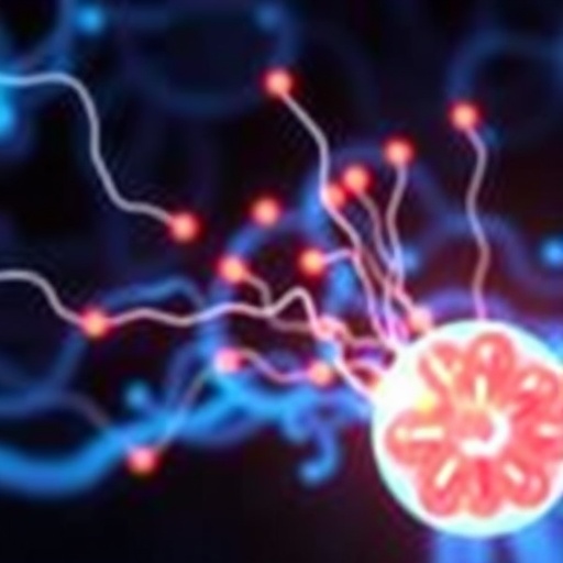 memory-engrams-show-distinct-learning-ensembles