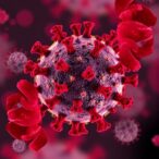 epitope-targeted-antibodies-neutralize-omicron-variants