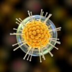 breakthrough-capsule-technology-offers-new-insights-into-individual-cells