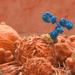 cell-surface-“flag”-identified-as-potential-cancer-target-for-antibody-therapeutics