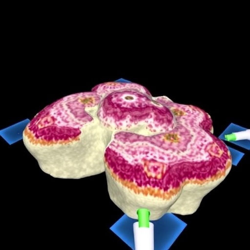 sparstvr:-virtual-reality-for-sparse-3d-histology