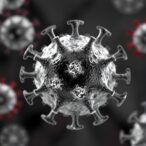 modeling-sars-cov-2-dynamics-and-antiviral-effects