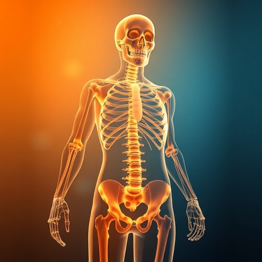 bso-mimics-anti-obesity-benefits-of-sulfur-amino-acid-restriction-while-preserving-bone-health