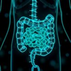 4-hydroxyphenanthrene-worsens-obesity-via-gut-microbiota