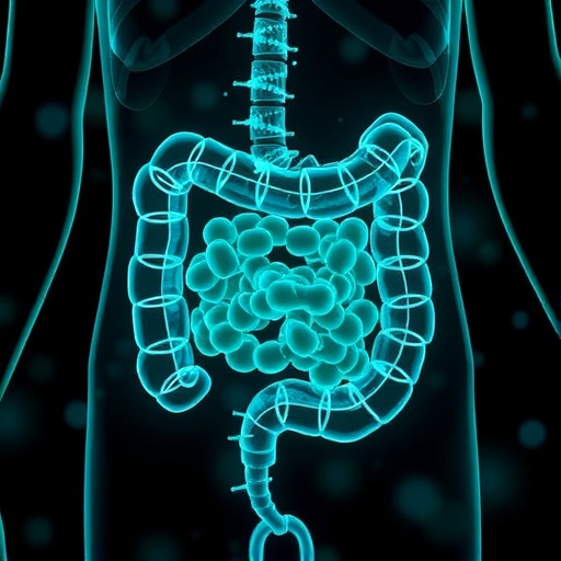 4-hydroxyphenanthrene-worsens-obesity-via-gut-microbiota
