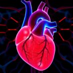 neurodevelopmental-risks-after-post-hemorrhagic-ventricular-dilatation