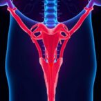 cadonilimab-combo-shows-promise-in-advanced-cervical-cancer