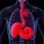dlat-enzyme-limits-fatty-acid-oxidation-in-hfpef