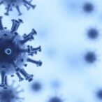 site-1-protease-essential-for-lcmv-clone-13-persistence