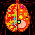 global-study-develops-ai-prognostic-models-for-anal-cancer