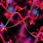 sox4-drives-cisplatin-resistance-by-blocking-glycolysis