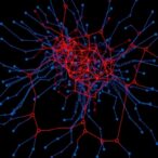 single-cell-transcriptomics-reveal-insights-into-bph