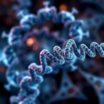 cohesin-mutations-linked-to-multicystic-mesothelioma-recurrence