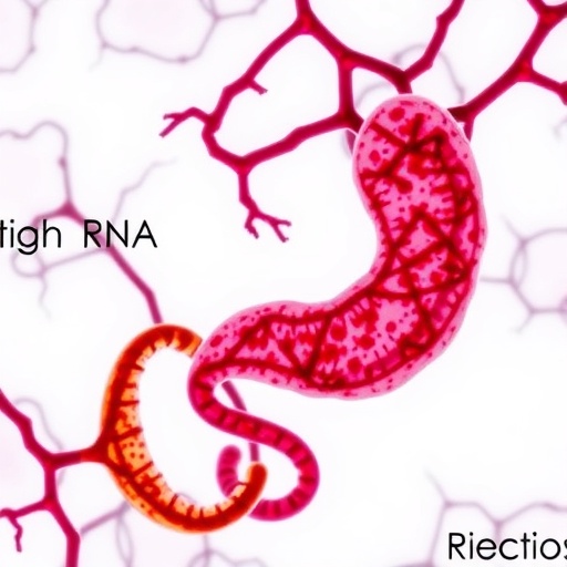 trna-derived-small-rnas-linked-to-necrotizing-enterocolitis