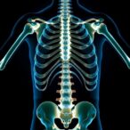 decoding-bone-age-in-premature-adrenarche-challenges