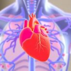 dome-hf:-new-diuretic-care-model-aids-elderly-heart-patients