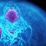 vitamin-b2-pathway-identified-as-potential-target-for-cancer-therapy