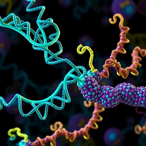 dynein–dynactin–numa-complex:-activation-and-regulation-explained