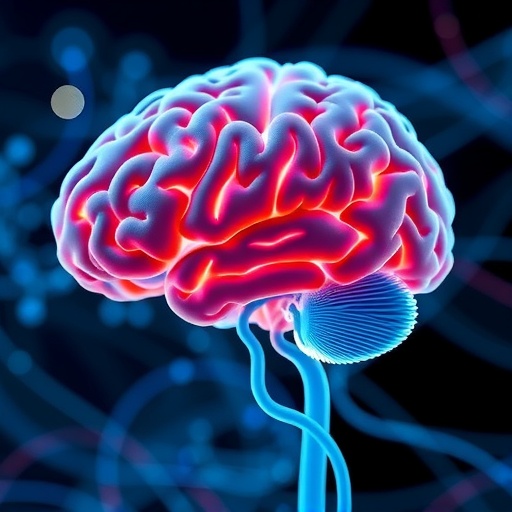 restoring-episodic-memory-in-alzheimer’s:-circuit-insights