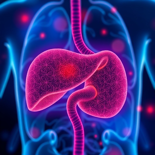 discovering-a-crucial-signaling-pathway-connecting-liver-cancer-and-fibrosis