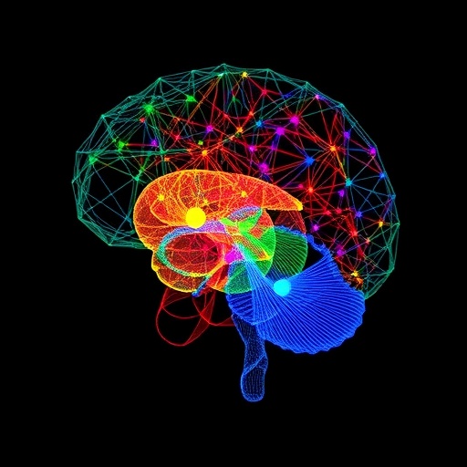 mapping-neuropeptide-networks-in-the-human-brain