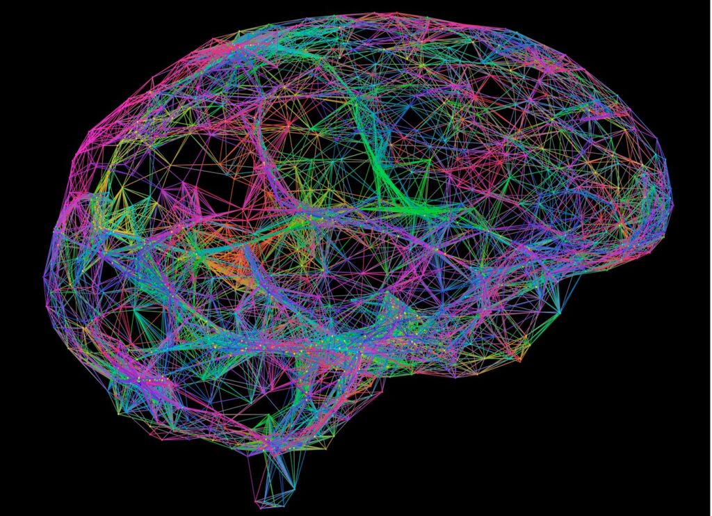 computational-model-reveals-shared-neural-disruption-across-different-anesthetics