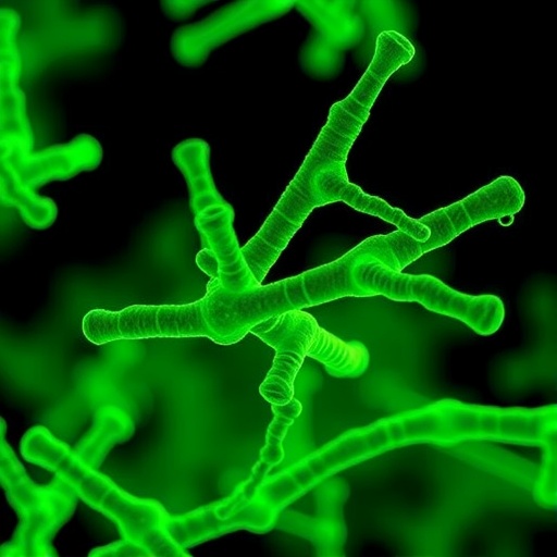 non-antibiotic-selection-boosts-imaging-of-resistant-bacteria