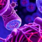 cancer-cells’-hidden-drug-reservoirs-may-hold-key-to-treatment-resistance