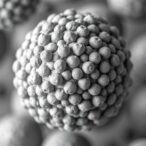 nanoparticle-surface-traits-shape-protein-corona-in-colitis