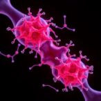 new-single-cell-method-uncovers-how-tuberculosis-like-bacteria-transform-human-cells