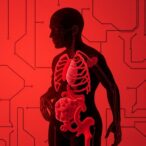 new-insights-into-how-adiposity-and-inflammation-drive-all-cause-and-cardiovascular-mortality