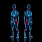 digital-twin-for-forensic-alcohol-metabolism-reconstruction