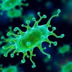 engineered-e.-coli-enhances-tumor-immunotherapy-via-no