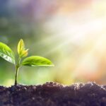 aspen’s-1-year-data-for-parkinson’s-cell-therapy-plant-seeds-for-phase-3-trial