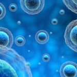 scaling-process-intensification-from-seed-train-to-production-in-biomanufacturing