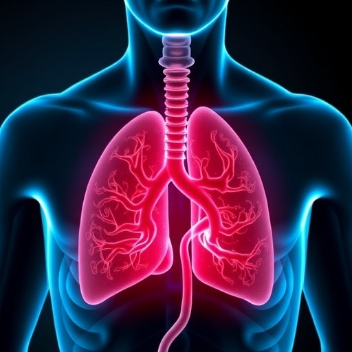 once-overlooked-in-adult-health,-the-thymus-could-hold-the-key-to-longevity-and-cancer-therapy