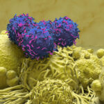 dual-vector-system-generates-car-t-cells-in-vivo