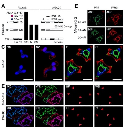 anxa1-fprs-drive-mdsc-diversity-fuels-oscc-immunosuppression