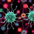 synthetic-circuits-regulate-cell-population-ratios