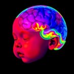 neonatal-seizure-detection:-rethinking-amplitude-eeg