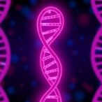 genes-linked-to-impulse-control-significantly-influence-addiction-risk