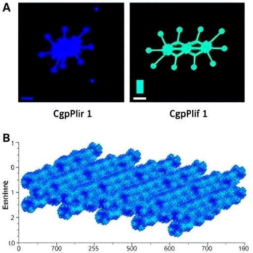 blue-emitting-cspb(br-cl)3-nanocrystals-enhanced-by-dopamine