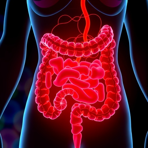 loss-of-pum2-worsens-colitis-via-cell-crosstalk