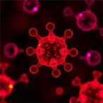 rapid,-label-free-optical-analysis-of-single-nanovesicles